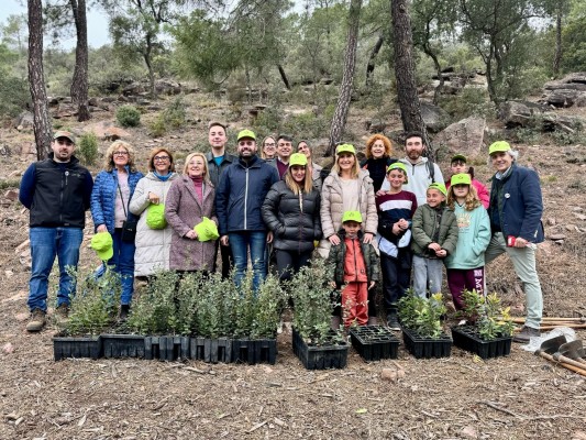 La Comunitat plantará 12.000 árboles de especies autóctonas para repoblar parques naturales