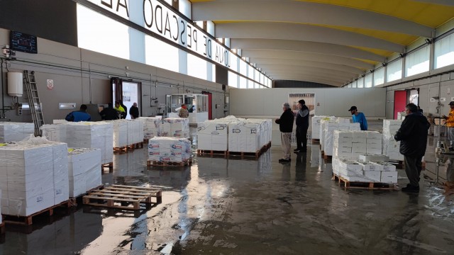 Vuelve la lonja pesquera de Alicante 