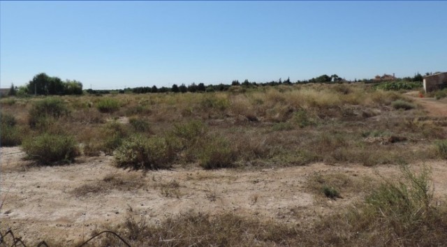 El Camp d'Elx atrae el interés de pequeñas solares: Premier Group proyecta una planta en Maitino