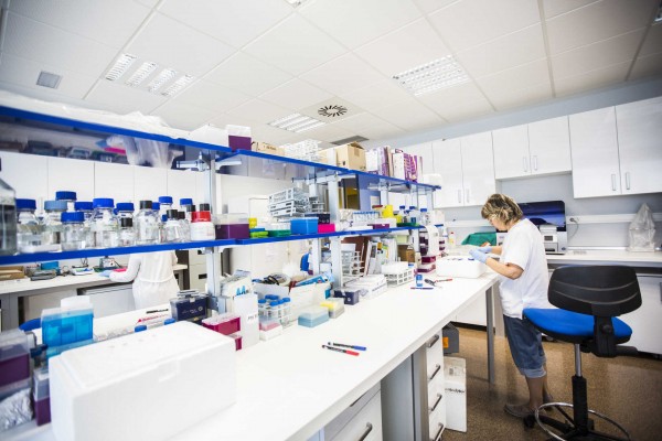 Las fundaciones sanitarias, paradigma del descontrol en el sector público de la Generalitat