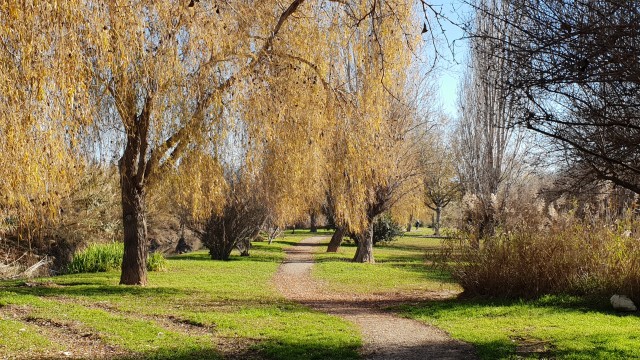 Quart de Poblet impulsa la recuperación del Parque Natural y lo acerca a la ciudadanía