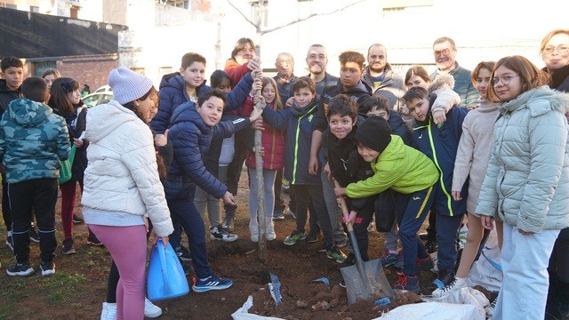 Más de 600 escolares de Vila-real plantarán árboles para conmemorar el centenario del Termet   
