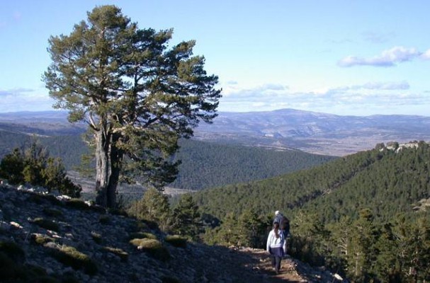 El Consell potenciará los Parques Naturales para dinamizar la economía de los municipios