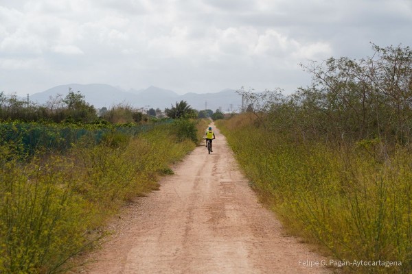 Cartagena promueve la Vía Verde como camino jubilar dentro de la Ruta del Apóstol