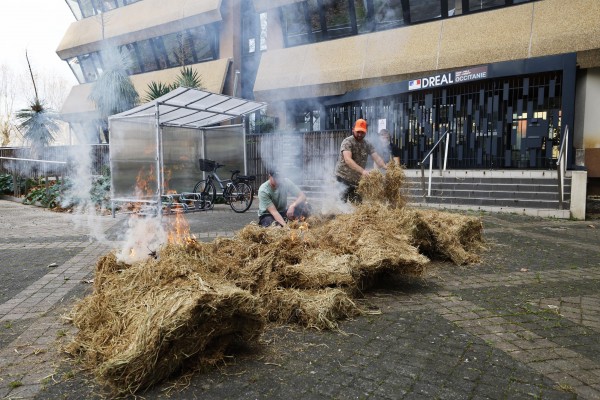 La ecología mata al campo