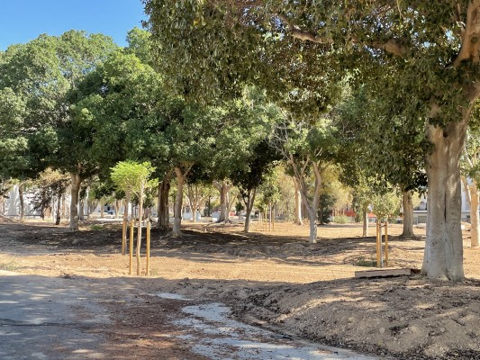 Aidemar y Aema Hispánica cuidarán parte de los parques y jardines de San Javier