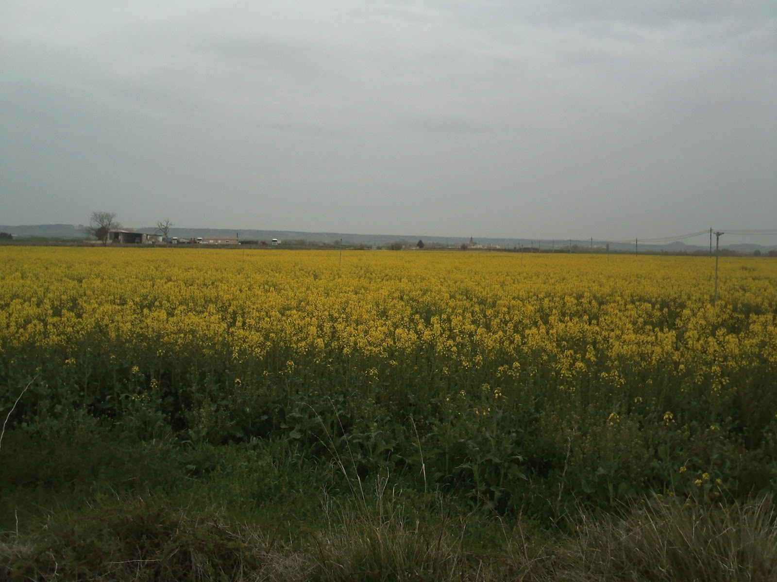 Foto: EUROPA PRESS - 