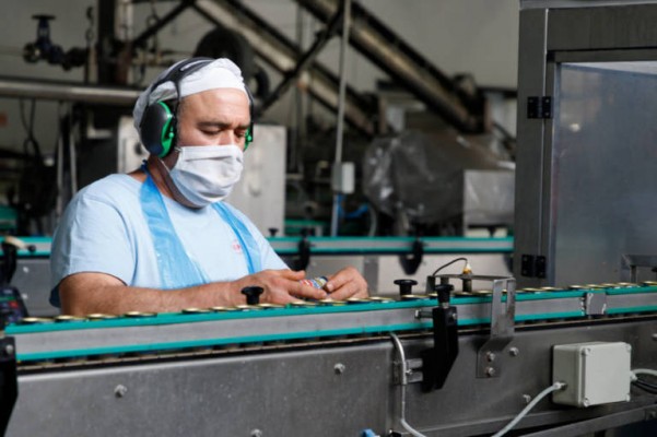Castellón cierra un 2023 agridulce: suma 2.900 empleos... pero también aumenta el paro