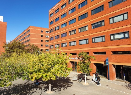 El Gobierno concede cerca de 500.000€ a la UPV y 240.000 a la UA para crear cátedras ligadas a la IA
