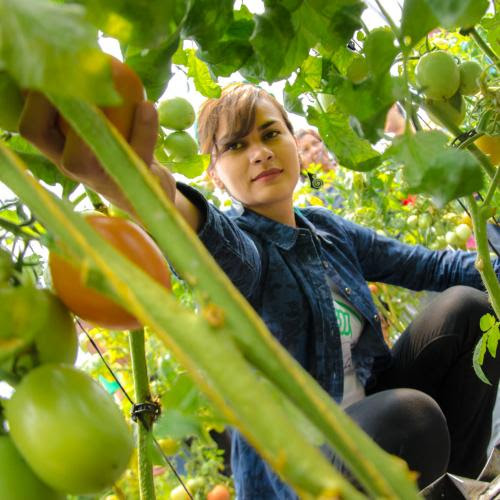 Una ministra del gobierno de Nicolás Maduro participará en el Rototom