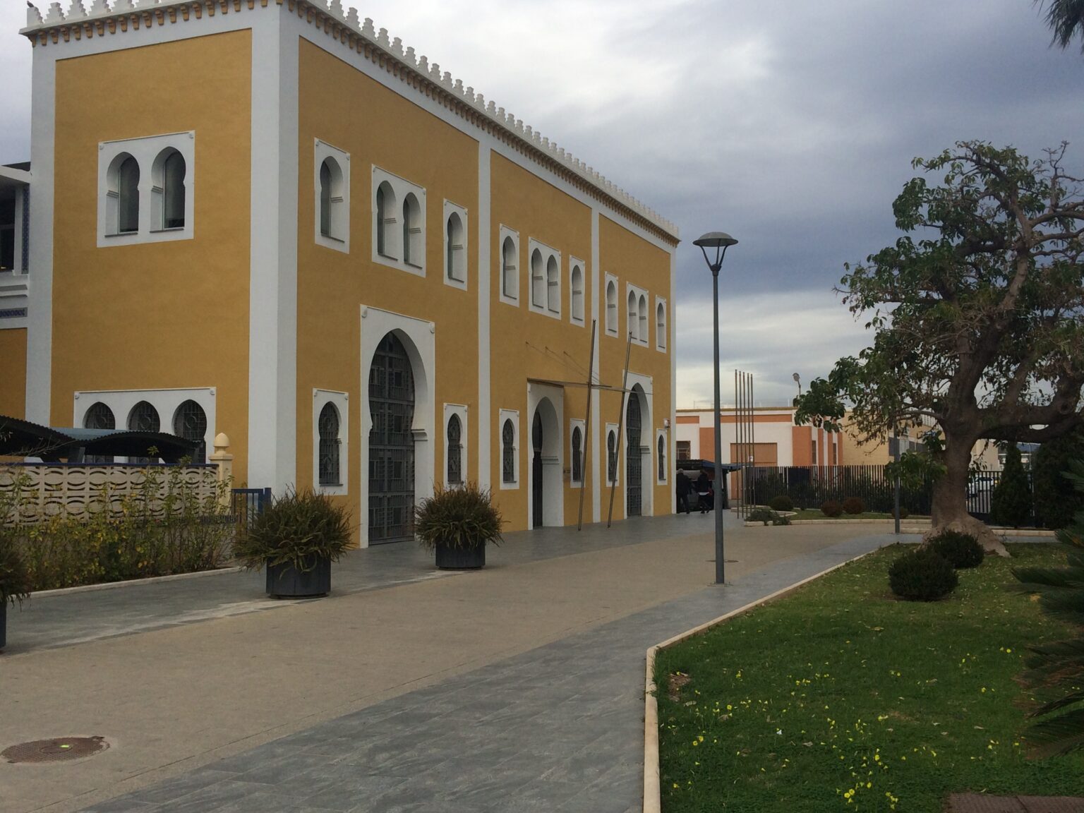 PortCastelló facilita 25.000 euros en ayudas a proyectos culturales y deportivos