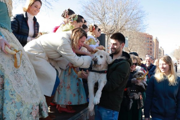 Castelló celebra Sant Antoni con una multitudinaria participación