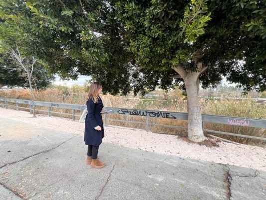 Comienza la reparación del paseo entre el parking del Cuartel de Artillería y el cauce del río Segura 
