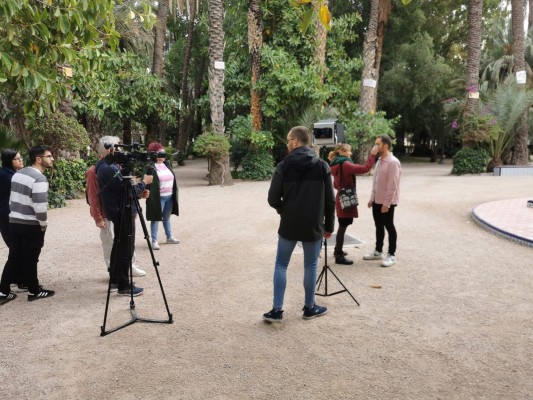 El Palmeral de Elche, atractivo turístico durante la retrasmisión de la final del Benidorm Fest 2024