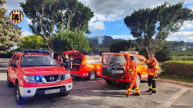 Extinguido el incendio forestal declarado el jueves en Alzira