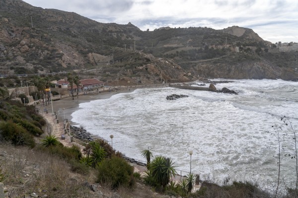 Árboles, muros y ramas caídos en Cartagena por los fuertes vientos que azotan al municipio
