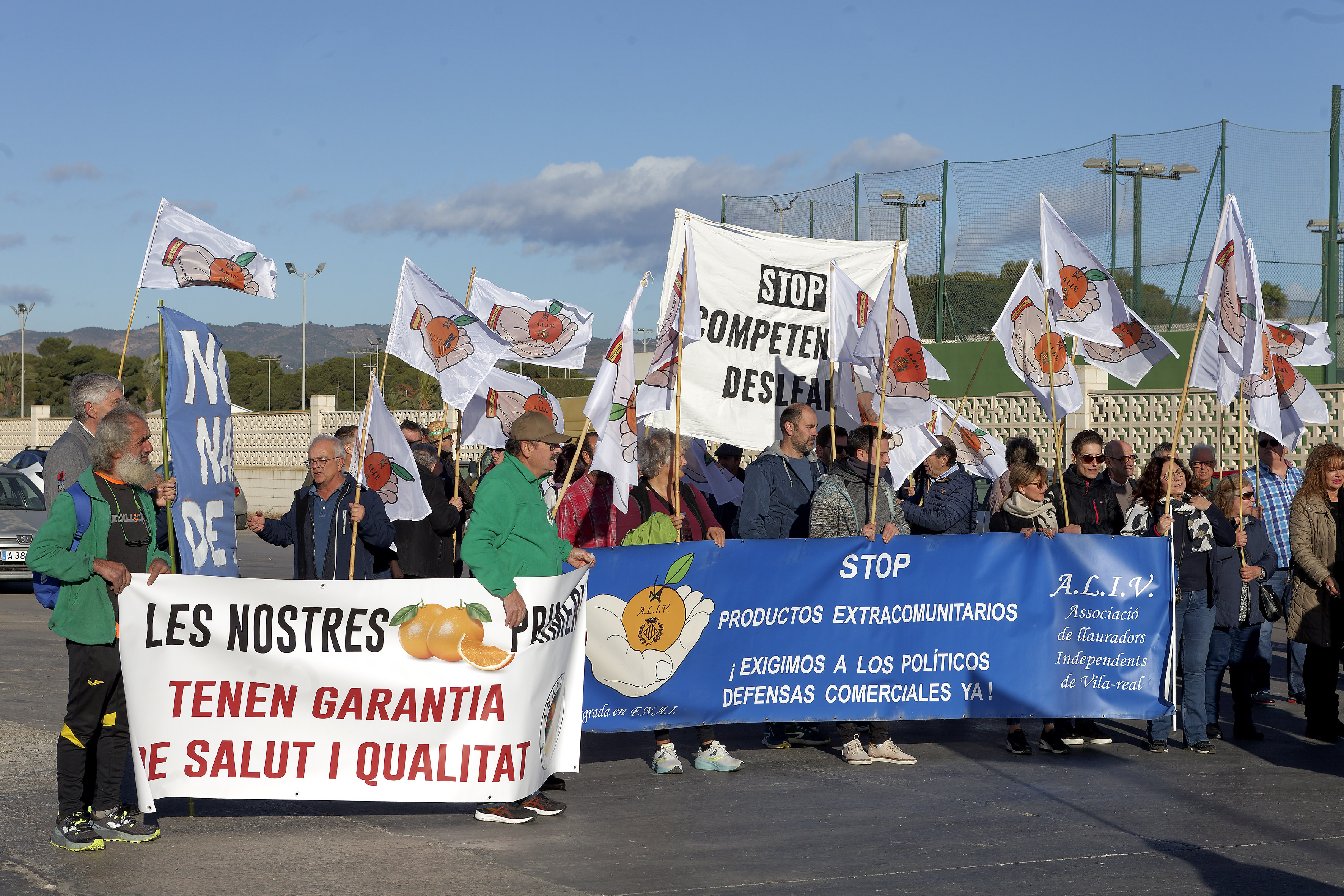 Agricultores independientes reclaman medidas contra los cítricos egipcios: “Nos quieren sustituir”
