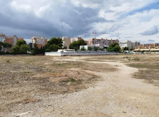 Barcala se felicita del desbloqueo del CEIP Almadraba, pero elude la falta de fondos