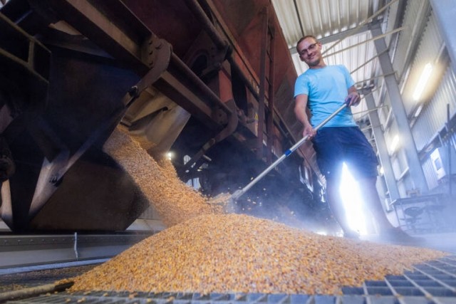 El Gobierno financia con 2,5 millones de euros la incorporación de IA en el sector agroalimentario