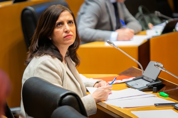 La diputada por Burgos Esther Peña será la nueva portavoz del PSOE
