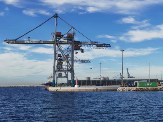 Optimismo empresarial: Argelia levanta parte del bloqueo a las exportaciones (aunque solo avícolas)