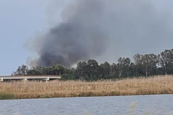 Estabilizado el incendio declarado en El Saler, que obliga a activar la situación 1 del PEIF
