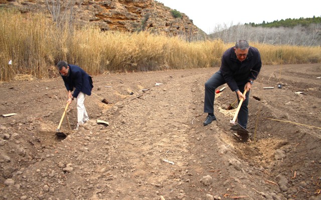 La CHS da un impulso a la recuperación del bosque de ribera en Cañaverosa