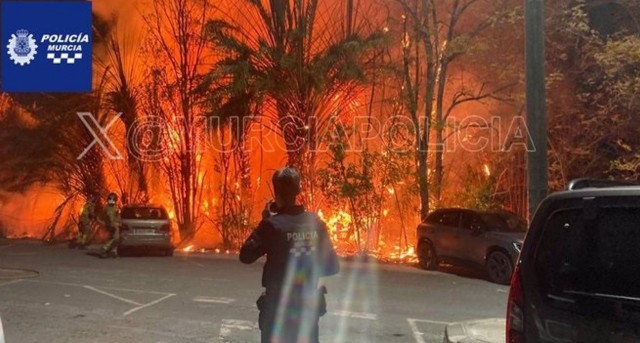 Detienen a un menor como presunto autor de los incendios de El Malecón