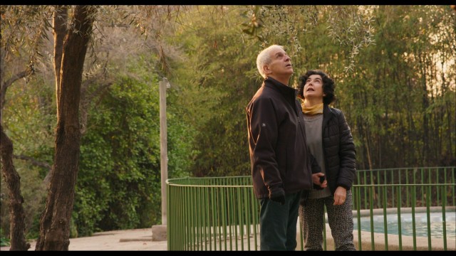 'La memoria infinita': Maite Alberdi demuestra que no hay límite en el lenguaje del amor
