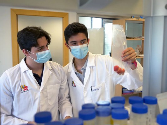 La 'startup' Freeshakes del PCUMH, reconocida en el Certamen Nacional de Jóvenes Emprendedores