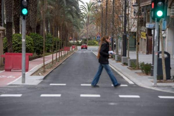 Alicante defiende ante el Síndic la reposición de arbolado en las obras de reurbanización de la ZBE