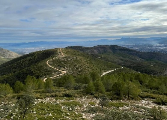  La Serra Grossa contará con 188 hectáreas  de cortafuegos entre la Costera y la Vall d’Albaida