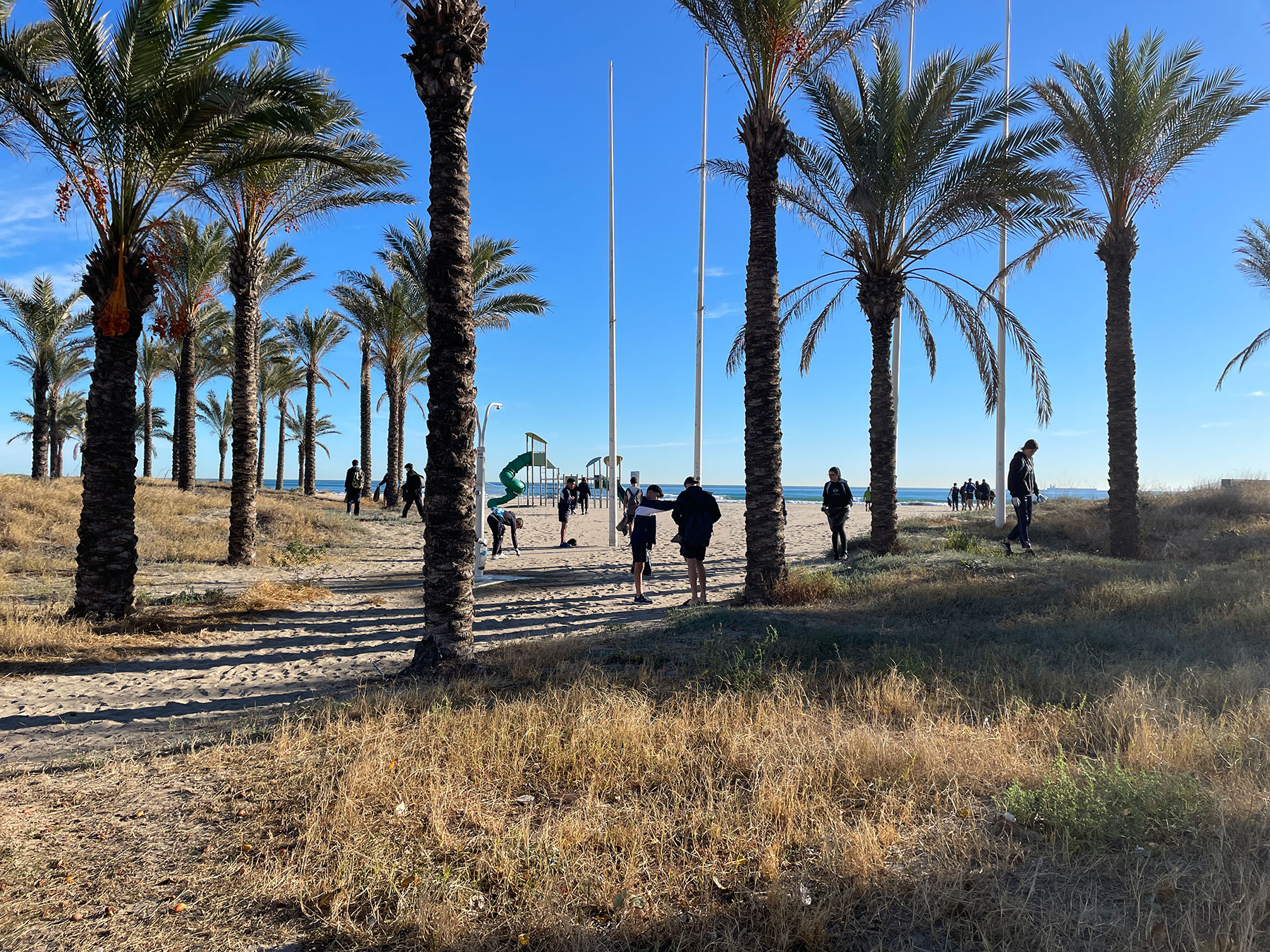 Estudiantes del colegio San Cristóbal limpian de residuos la playa del Planetario de Castelló