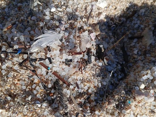 WWF pide coordinación en la respuesta del vertido de pellets plásticos en Galicia y el Cantábrico