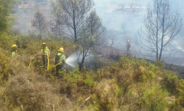 Cuatro medios aéreos en un incendio forestal en un pinar de Torremanzanas