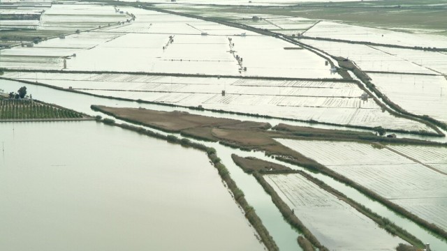 Generalitat y Ayuntamiento de València exigen al Gobierno el mismo trato para l'Albufera que para Doñana
