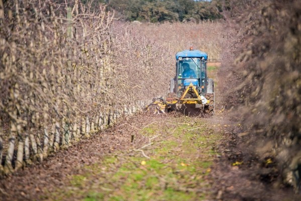 España rebajará las ayudas de la PAC por infracciones de las normas laborales desde 2024