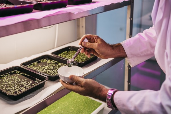 Ainia investiga la producción de ingredientes a partir de biomasas como la lenteja de agua
