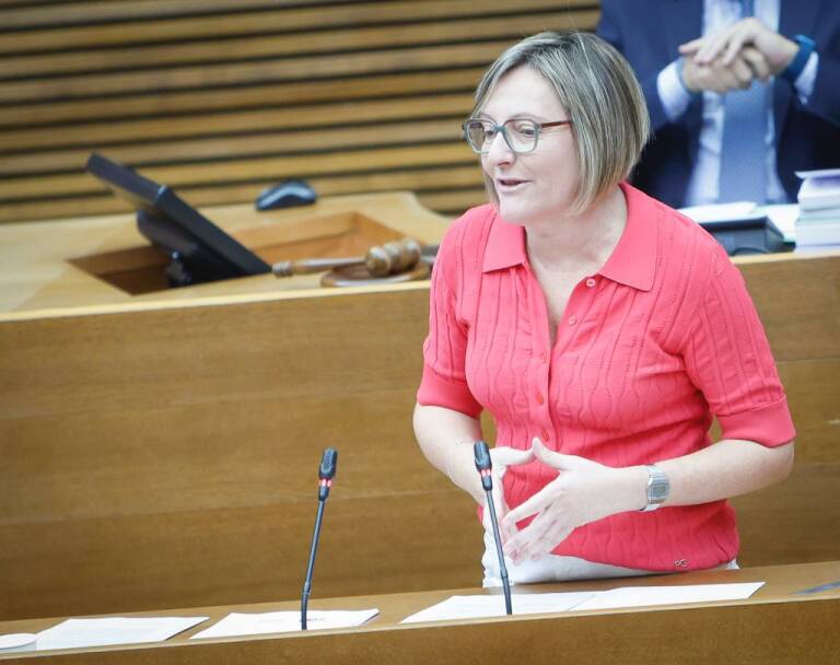 El PSPV acusa al Consell de 