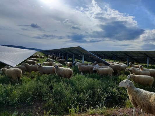 Renovalia presenta la planta solar de Villar del Arzobispo con el respaldo de más del 80% de los propietarios de los terrenos