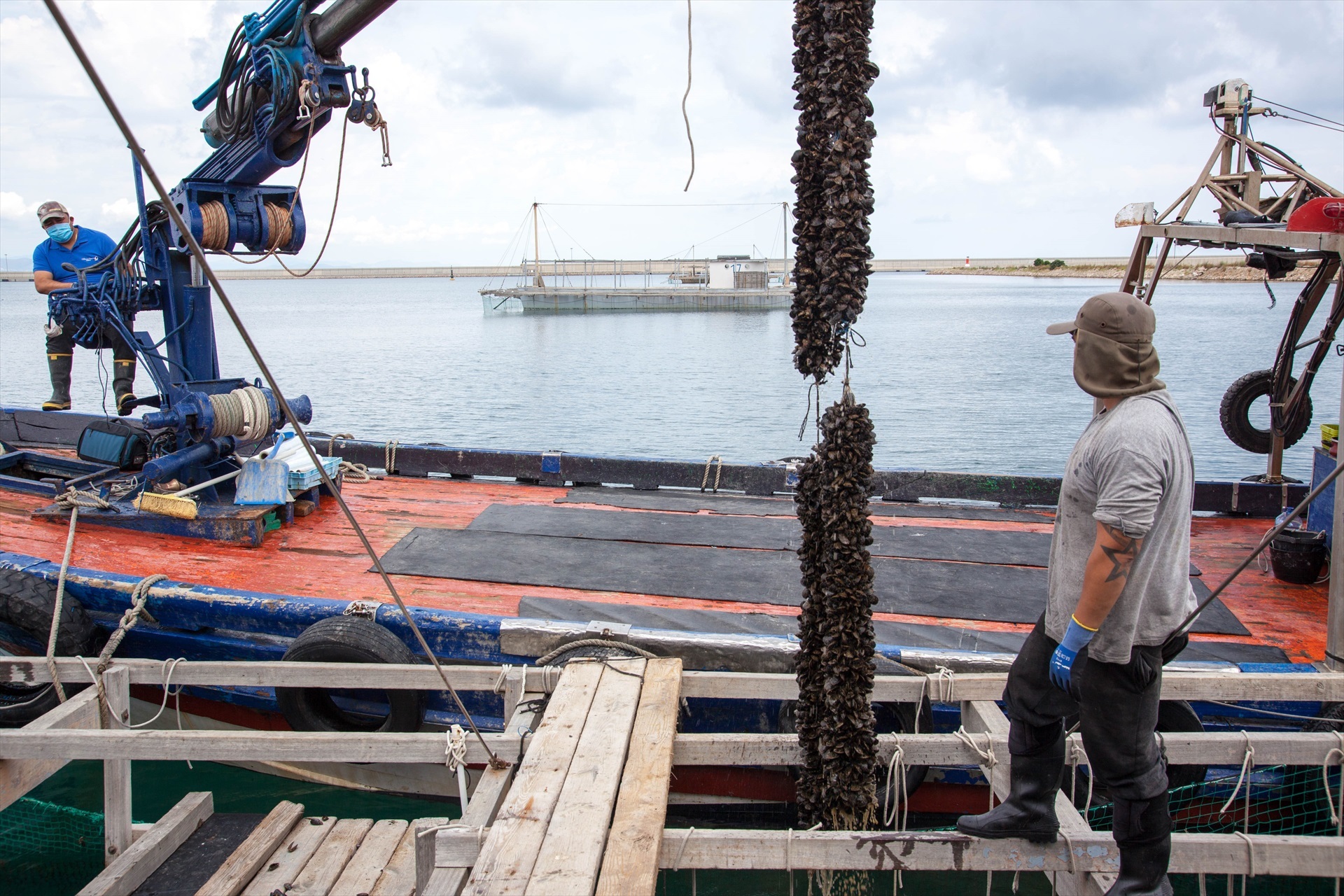 Imagen de archivo. Foto: VALENCIAPORT - 