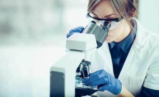 El Ministerio de Ciencia destina 655 millones a los Proyectos de Generación de Conocimiento