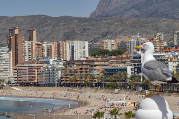 Benidorm aprueba la concesión de 647.278 euros en ayudas a pymes y autónomos