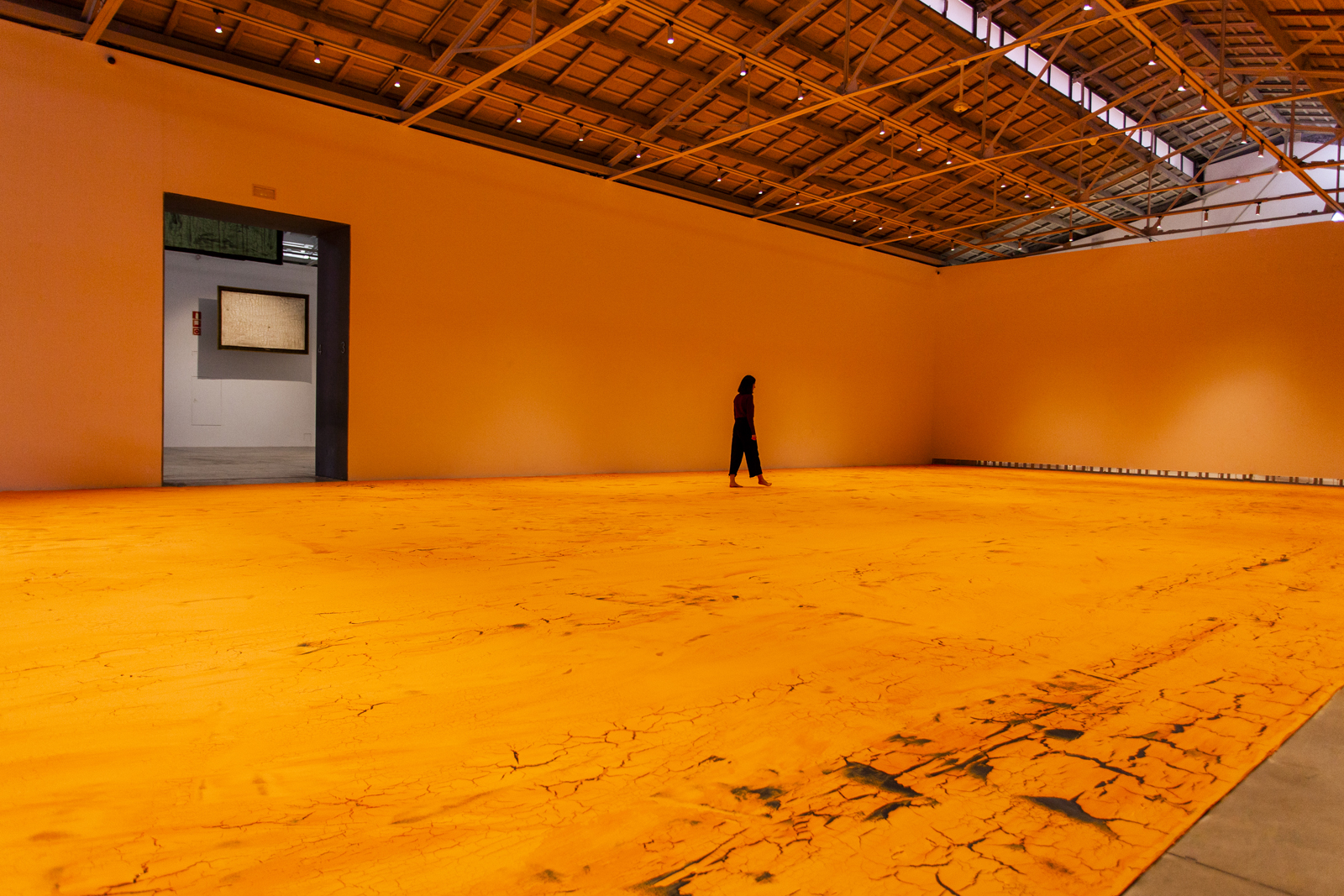 Foto: MARIO ZAMORA - 