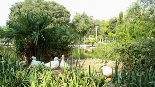 Castelló vivirá la ilusión y la magia de la Navidad en el Jardín de las Hadas y los Duendes 