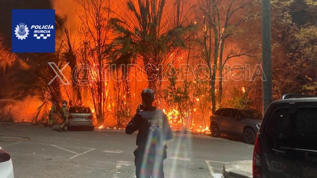 Un aparatoso incendio en El Malecón da un susto en Murcia: afectó a la vegetación y a varios coches