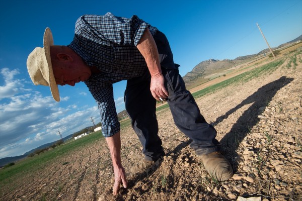 Criminalizar la agricultura nos cuesta caro