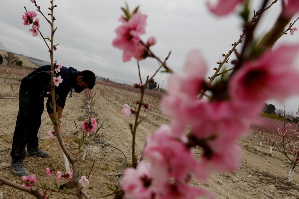 Los jóvenes agricultores murcianos despiden un 2023 