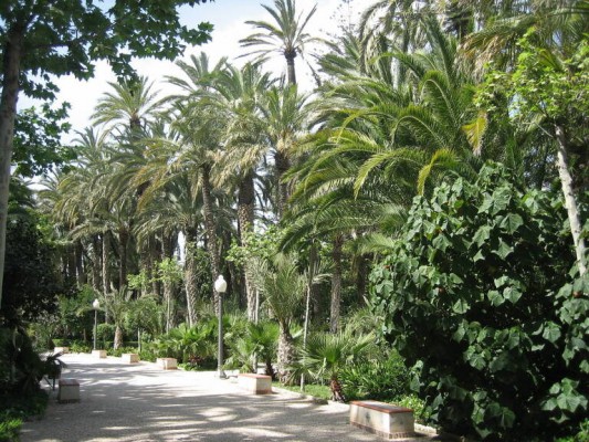 El bipartito de Elche sigue con actuaciones urbanas: siguiente paso, puertas del Parque Municipal 