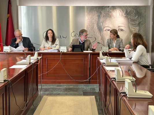 PP y Vox pasan el rodillo: tumban 223 enmiendas y sólo aceptan una contra la violencia en el hogar